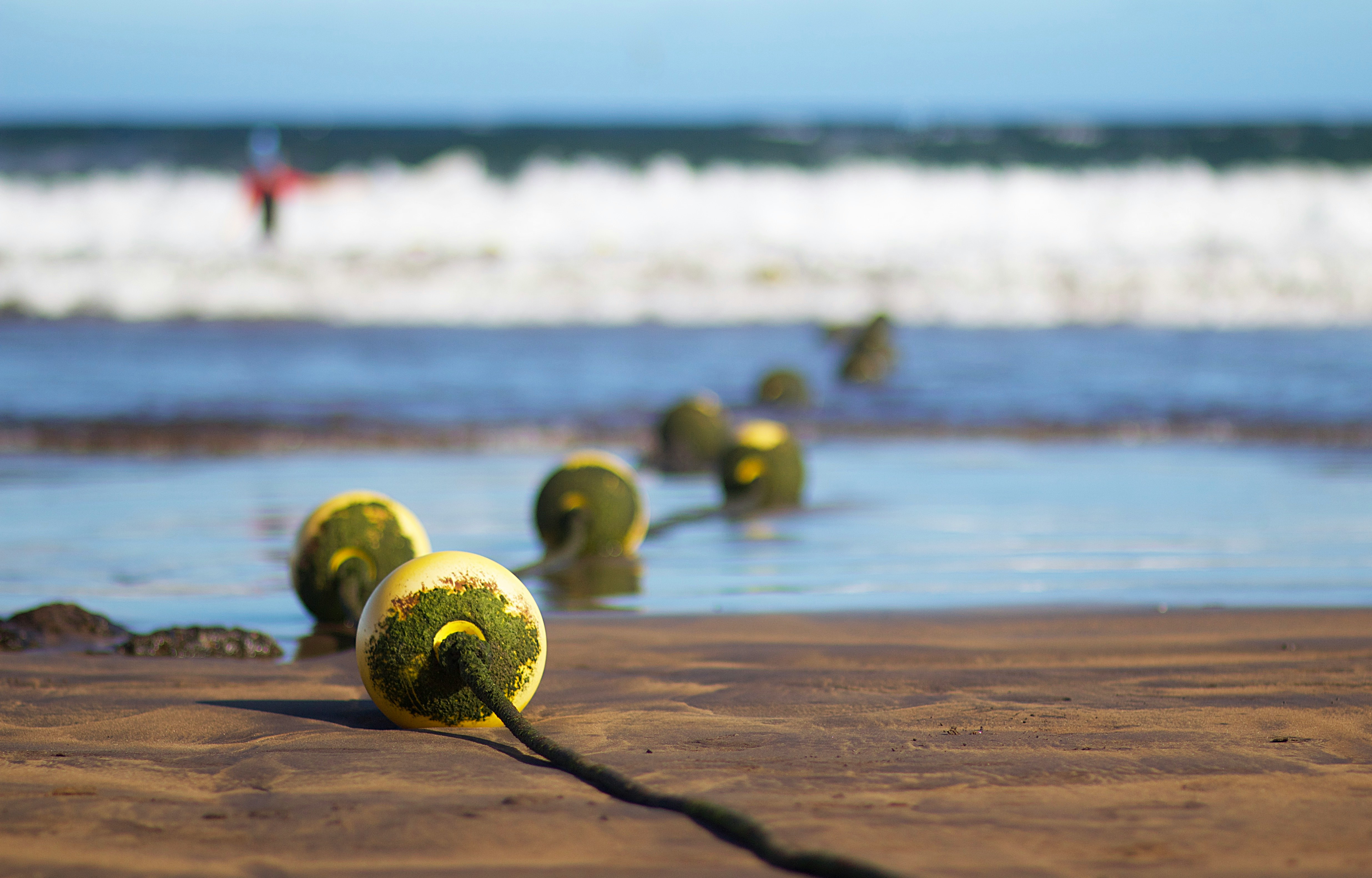 green fruit on beach during daytime